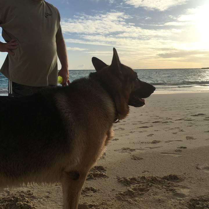 D261982c d77d 4cde 9541 5c426b4d557d