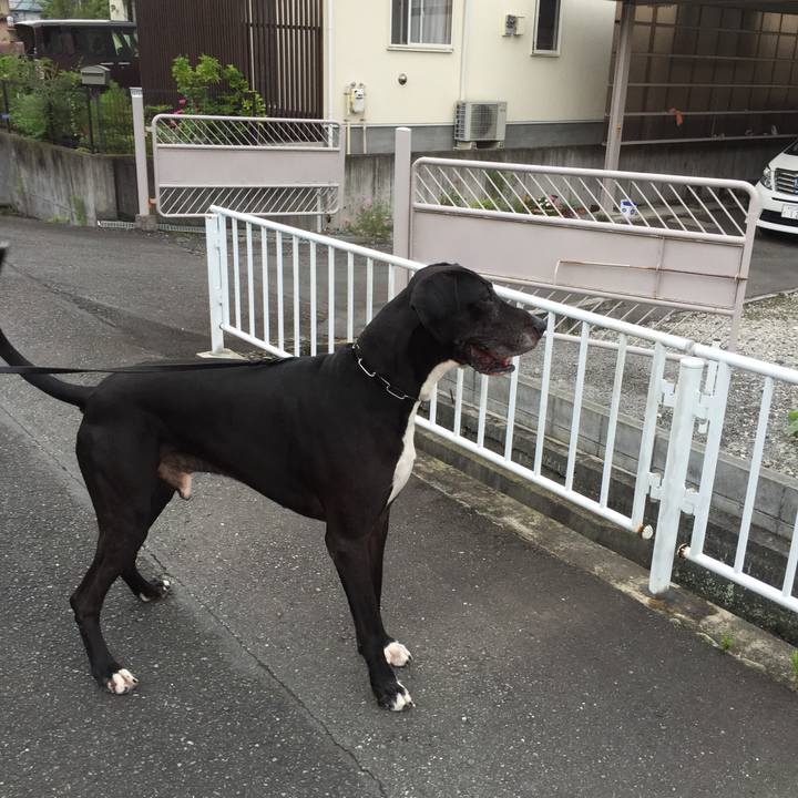 D26243e0 72ff 4d75 9836 eb2156050b46