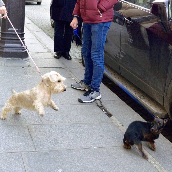 D2631f0e fcb7 40f3 aabd 126843f863da