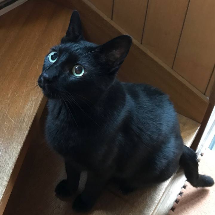 D26324a4 385f 4356 8648 1d46a5af48af