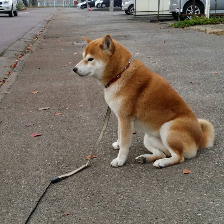 D2634eff 3361 428e ab92 8a56fd30776c