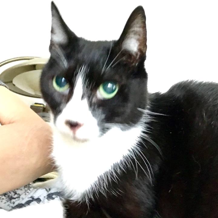 D2635e66 290b 41a3 aa40 52269e090db0