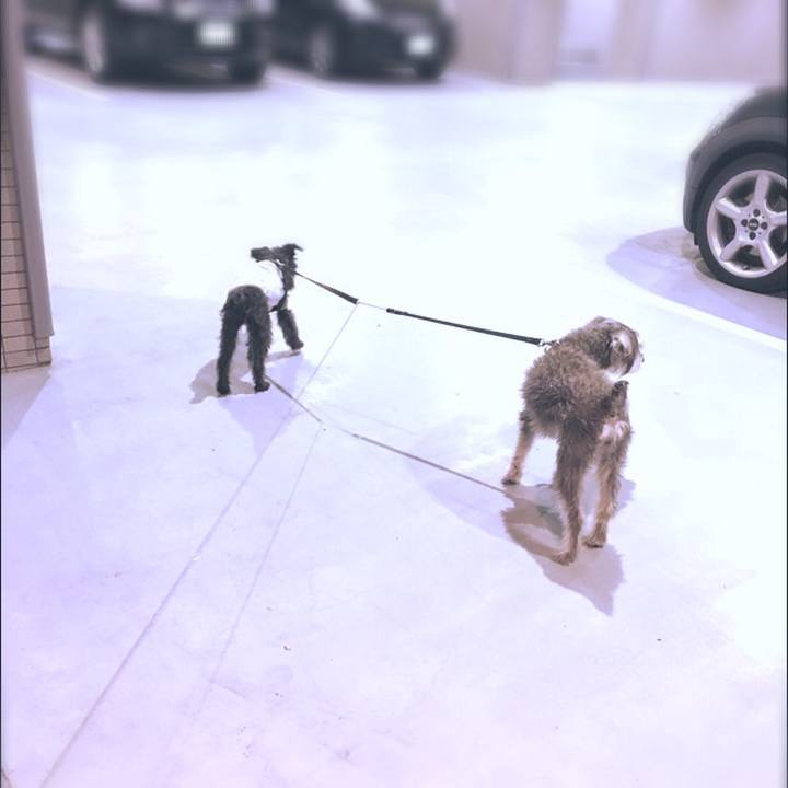 D263873b fb63 4624 b1f6 42641b4b2a7f