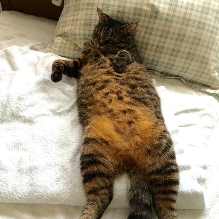 D263d100 e2fa 425d 96ae 6ae34cef0c36