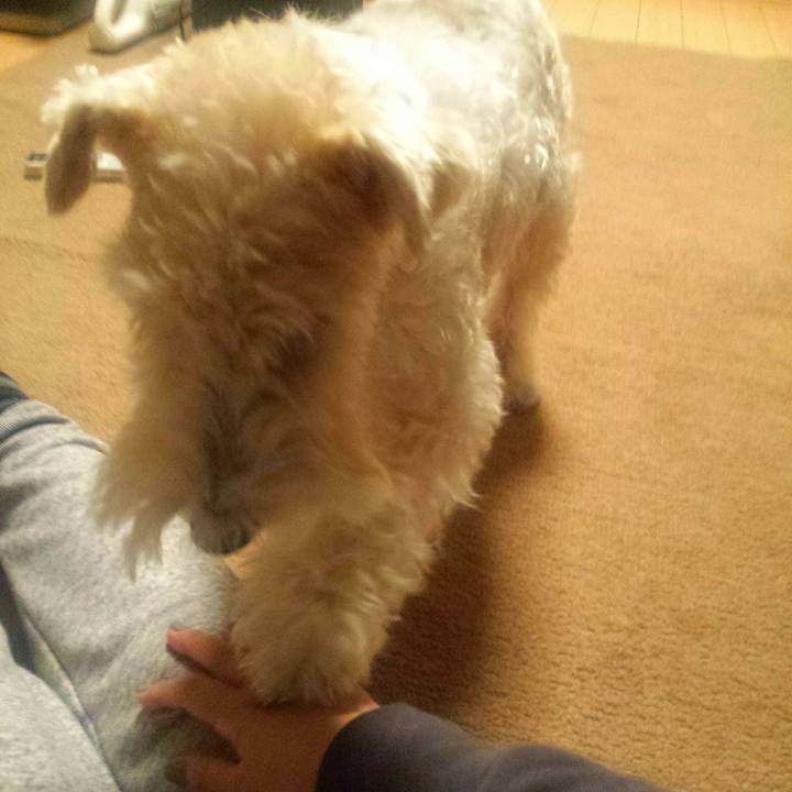 D263ec45 d58e 4b26 a40a 8587d97119f6