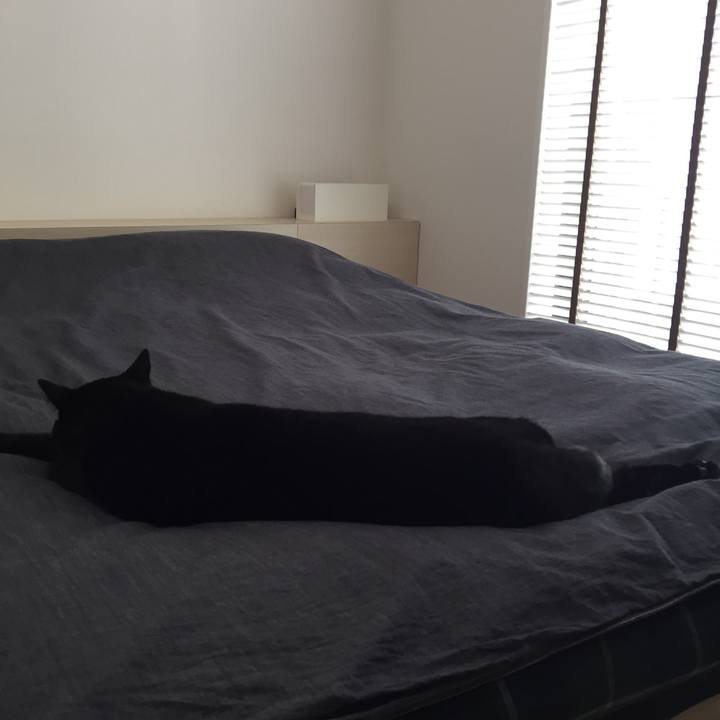 D2644a50 512c 4b77 b622 c2bc0456cce2