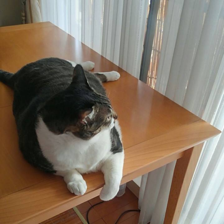 D264e526 fff1 43b7 a684 f718744a2801