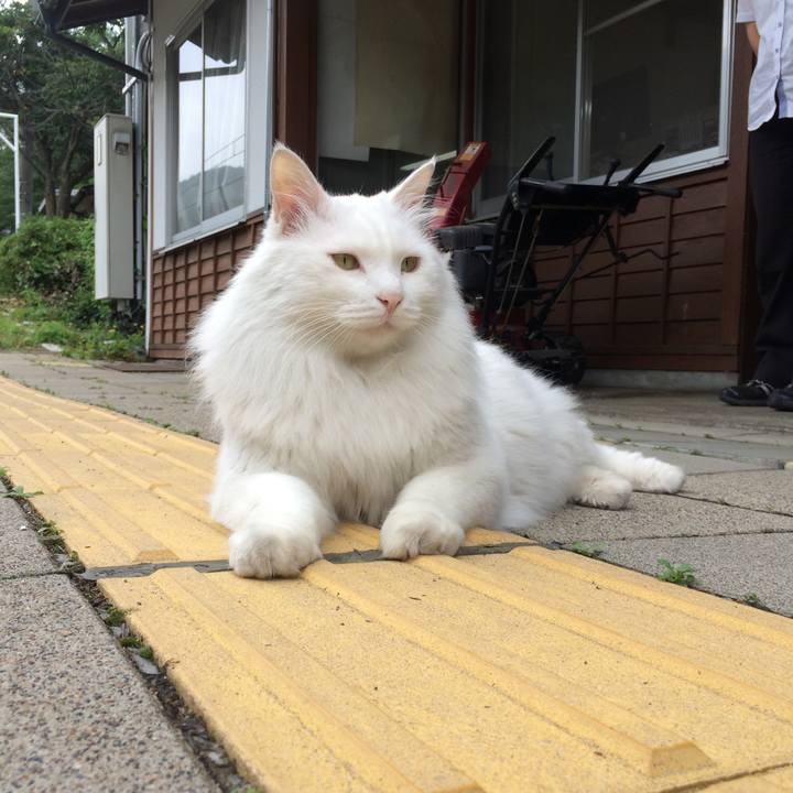 D264e67b 8f40 4dc6 8f75 46173d986774