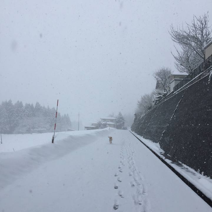 D2654f42 c67b 4a2b 8660 09b70c905021