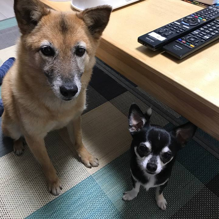 D2656fdb 42c8 46cd b6e5 35a7bf9bbbd9