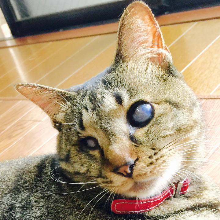 D26592c4 f138 42ad 8bca 97f7cd15da70