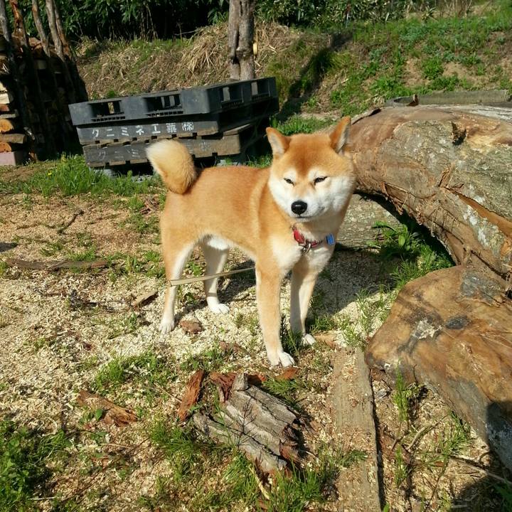 D265e967 36e7 4c23 8703 33896de04680