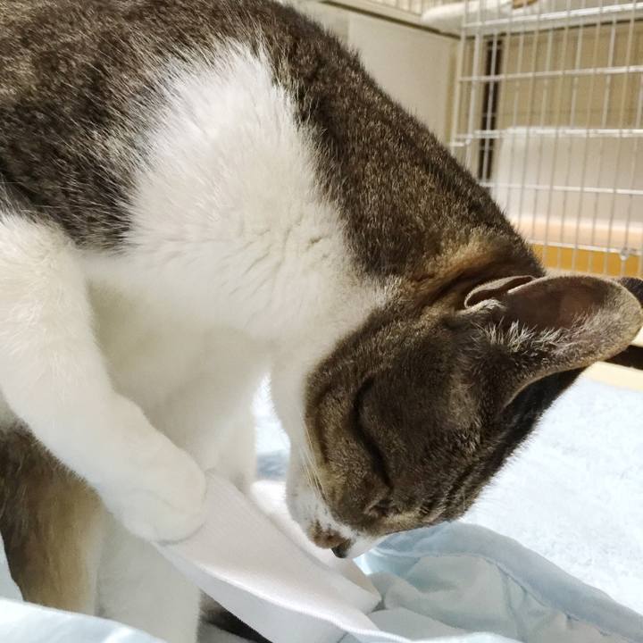 D265f844 4106 489b a148 2fa58f5611d9