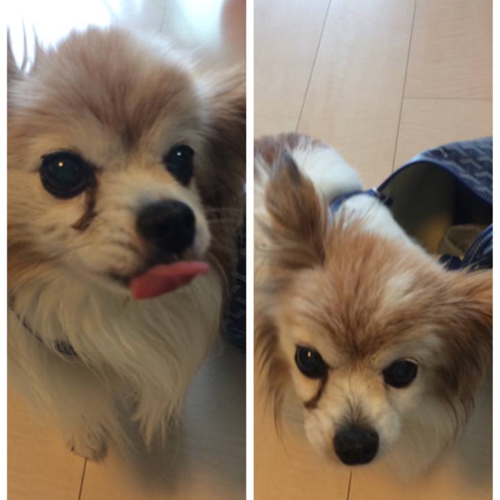 D2667d8e 3fb8 4526 8e2b 35fd3264b15e