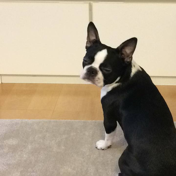 D266a493 c3a5 44ae bc5f 0a6b7487c528