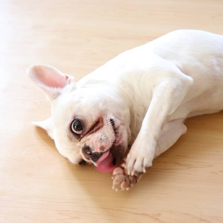 D2670ae8 331d 48b2 bd12 1d7833974886