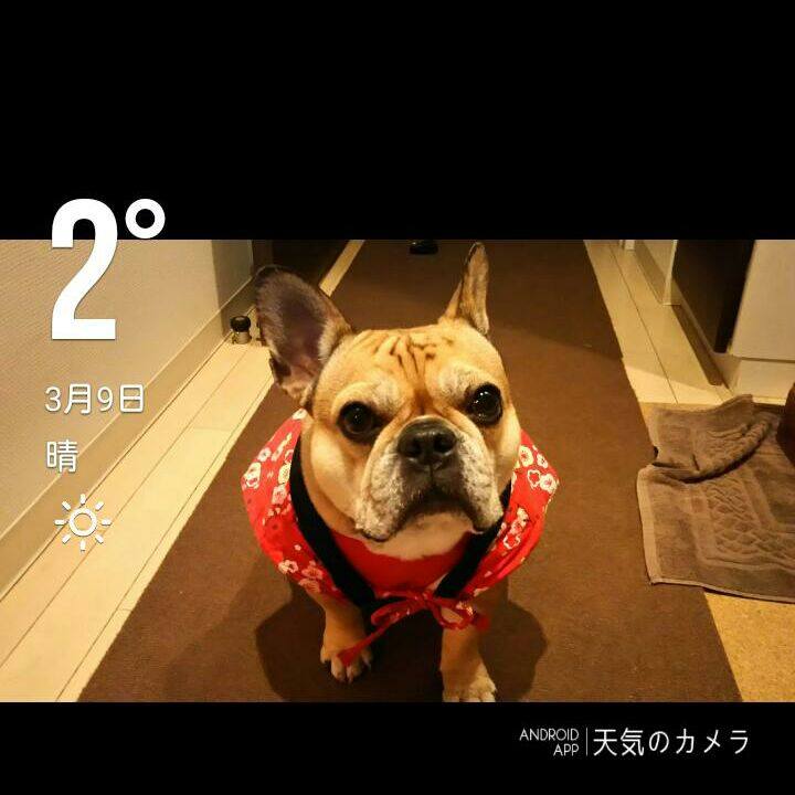 D267299c 182b 40ce 98ff 2fd40c80fb79