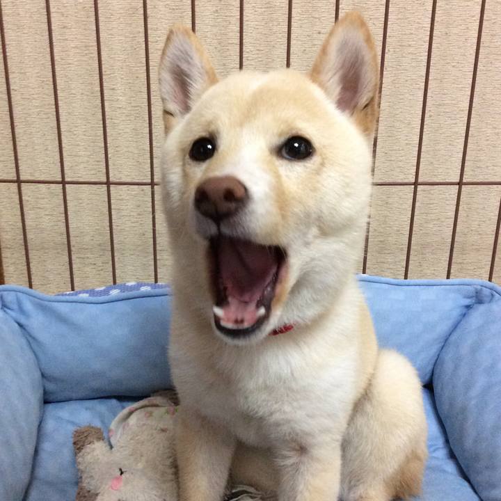 D26753ae 6c5c 45b5 adce f0bc9ceccca4