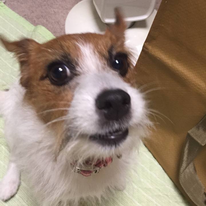 D267773d 404d 48f2 85c2 e6ef688543ae