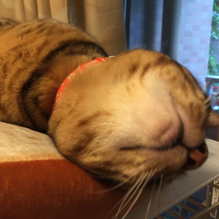 D267d38b 1062 45ae 86d2 d4918d7d1bd6