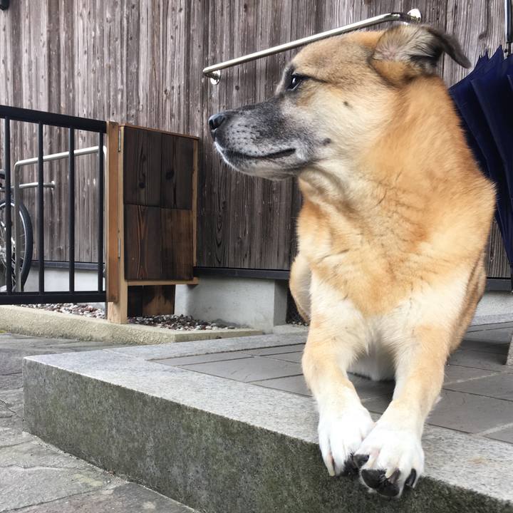 D267f153 0e48 497e a556 18bf331313b8