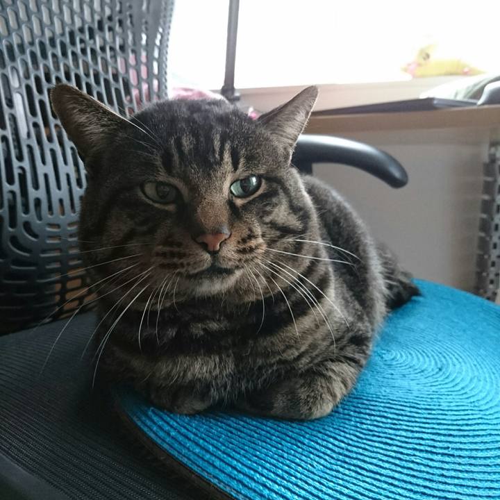 D267f4a3 cf40 4d4a a294 f11cf424f750