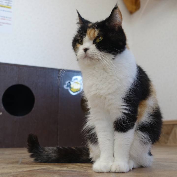 D2684565 284b 4af6 883a bfa2be5d4bb0