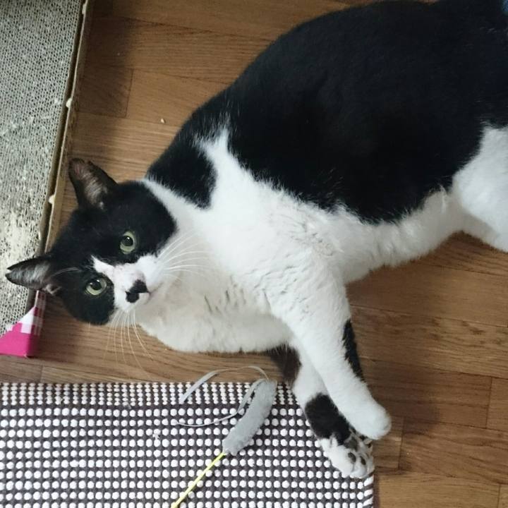 D26882ef 0570 43ba 8fef d57cb700f047