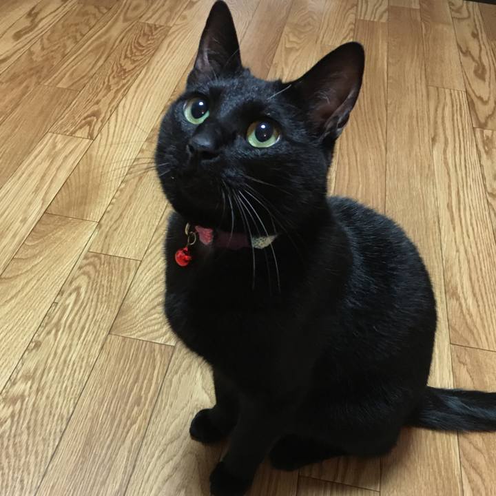 D26897f0 7e2d 46ee 8063 23f977f14c85