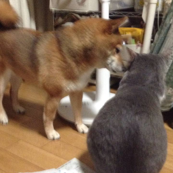 D269485c c9f6 4b01 be26 a838423d8c0d