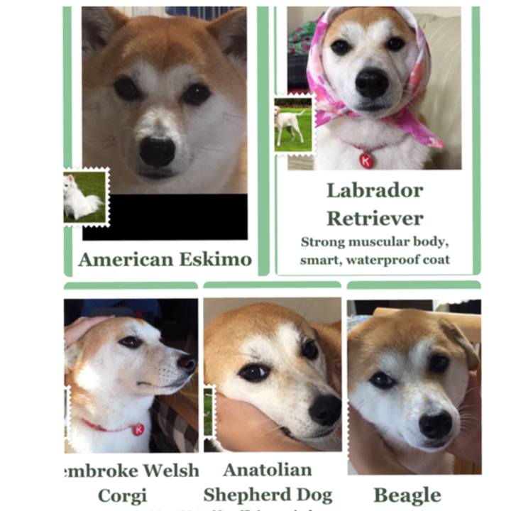 D26a5bfd 18b4 4688 9f7a e80b62561777