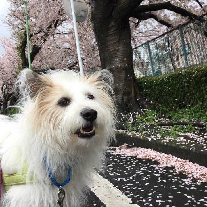 D26a738e fbda 4311 a93f ae5616c9d689