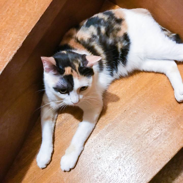 D26aeb33 540c 4290 a480 9c2523719b97