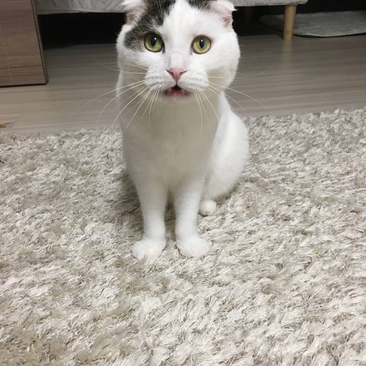 D26b77f4 4bee 4f42 9de7 5d8dbc62bcdd