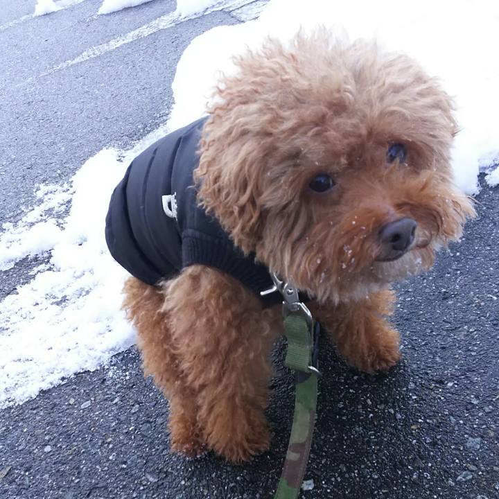 D26bb24c 1cba 486f b958 223f435903d5