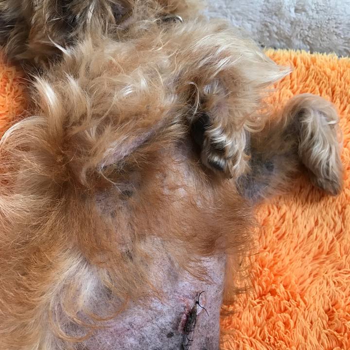 D26cae55 a652 4165 8a1e 8dfb79048250