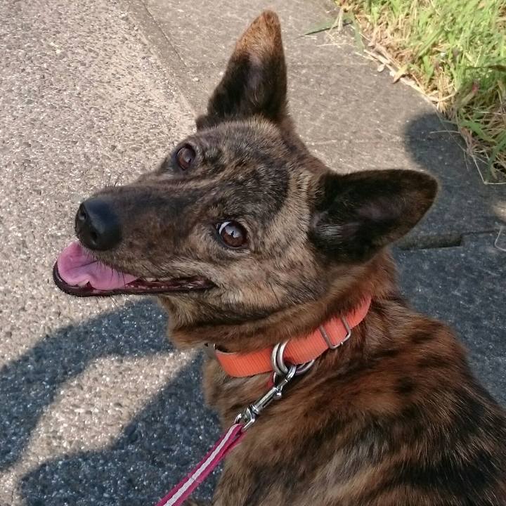 D26ce801 ad48 4967 bb94 b6bb9223c14d