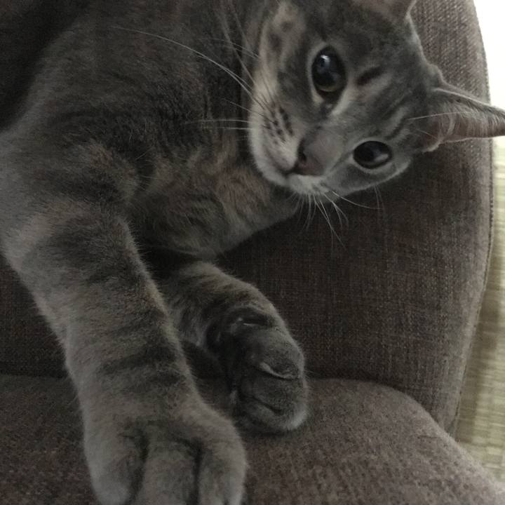 D26cf748 19b2 49ff 941a 299e21b5a8f1