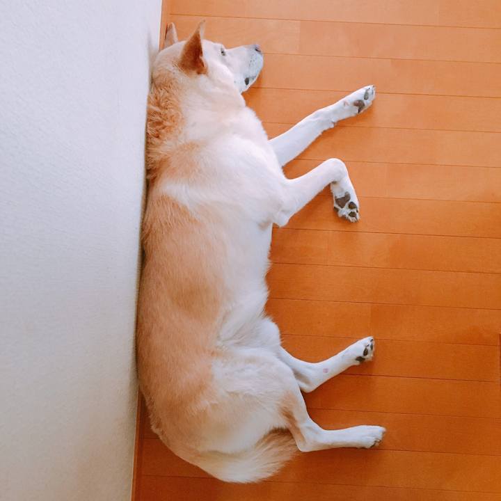 D26d42dc efc9 47df 9b0e a9f50b25d067