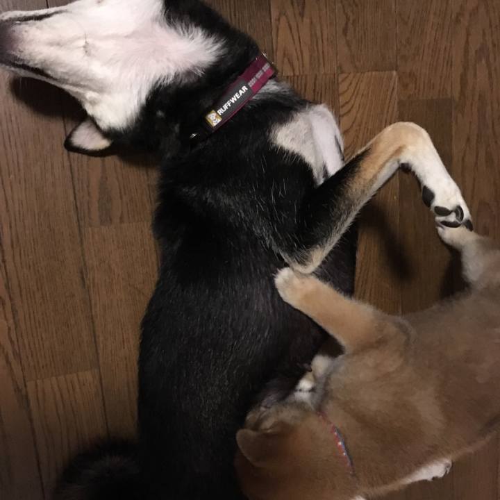 D26d450e 989a 44b2 8a8d bd05d883e899