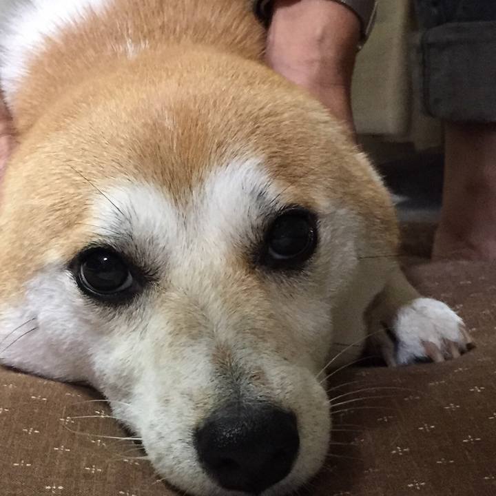 D26d79a7 1387 492f ab55 e4cddd6e357a