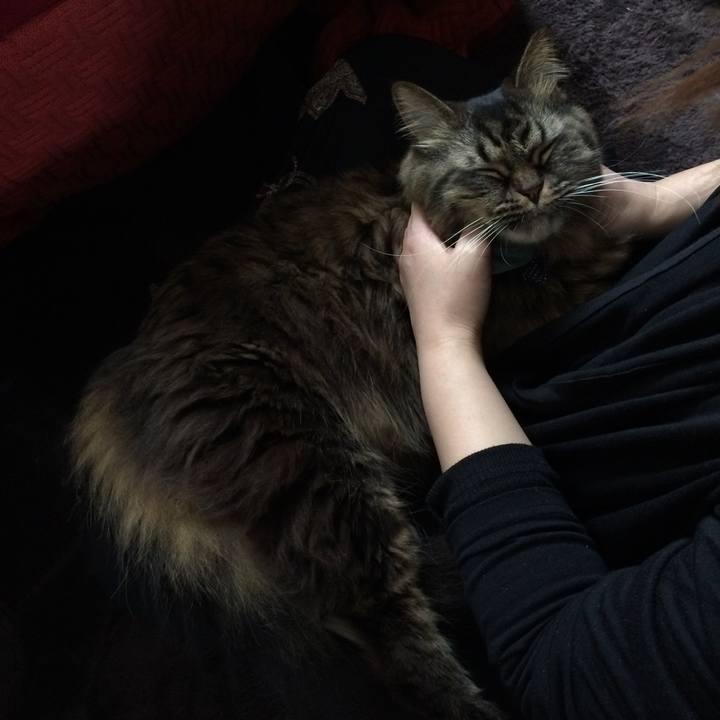 D26dbea1 f8d0 428d 8b16 5c0fe2dea614