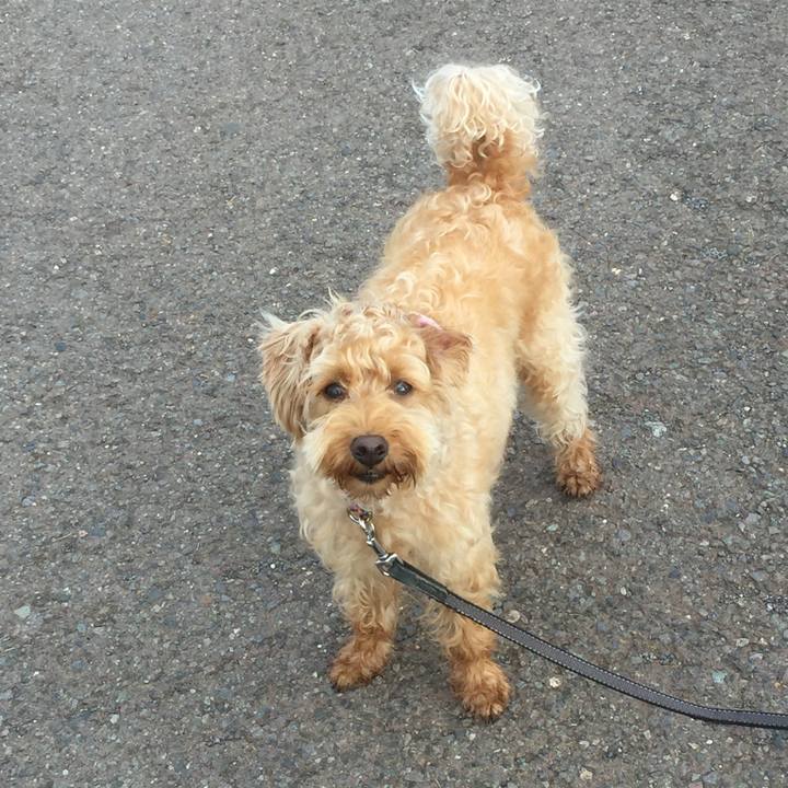 D26e8b8a 205e 42bf 8c92 46ed3eec4998