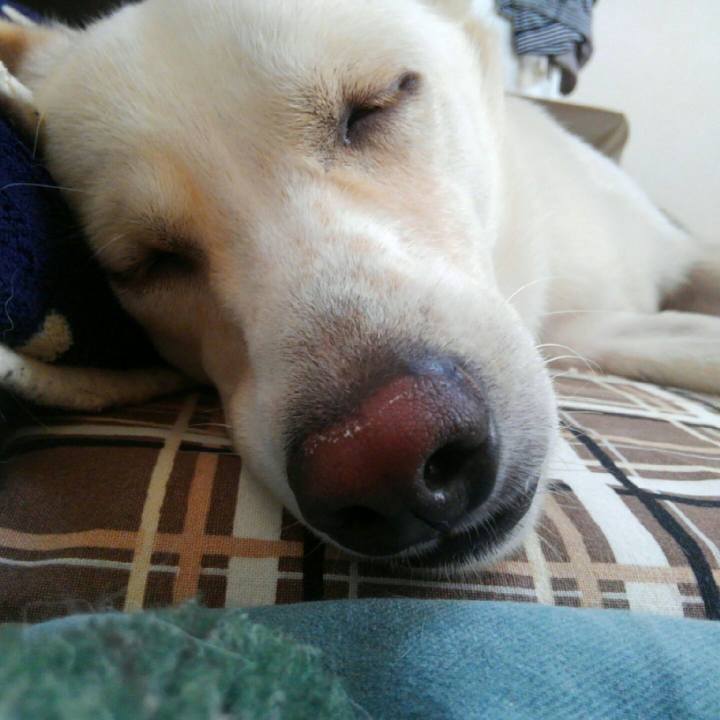 D26ebcd2 62f2 4f5b bd0c 20dafdce7c0a