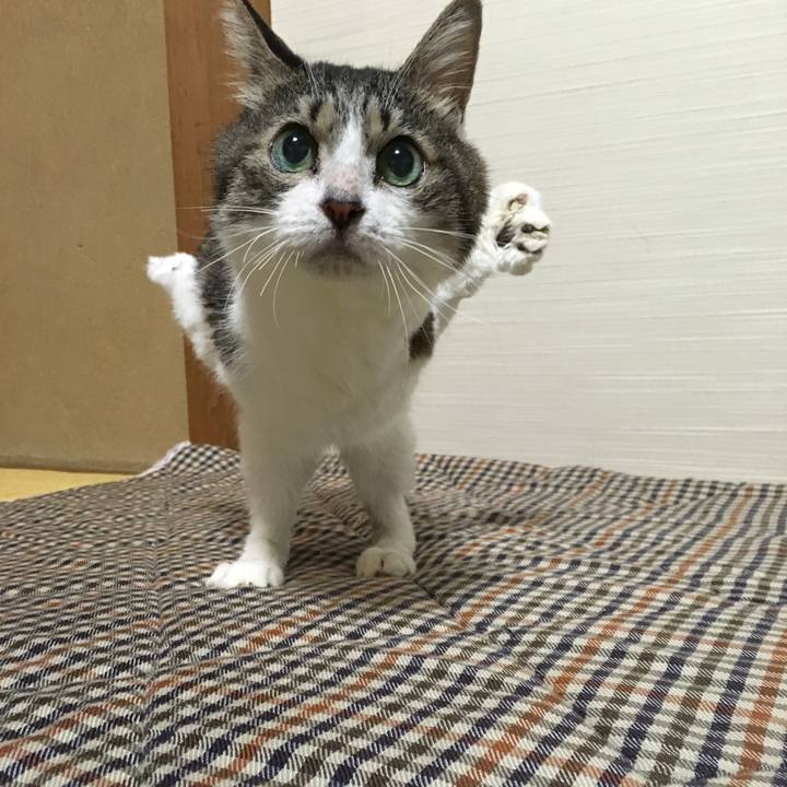 D26ff03f 1ea6 44bf a30a f9db05cb36d3