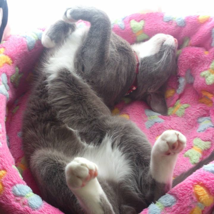 D270cd27 d459 4b89 bedd 092e41cd8a57