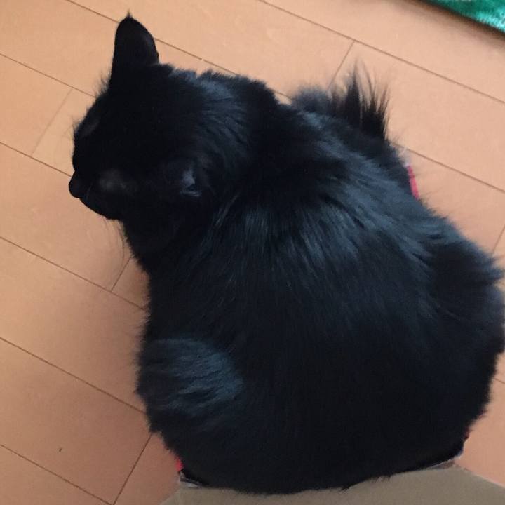 D27100a9 1736 4169 832e a979d834e46f