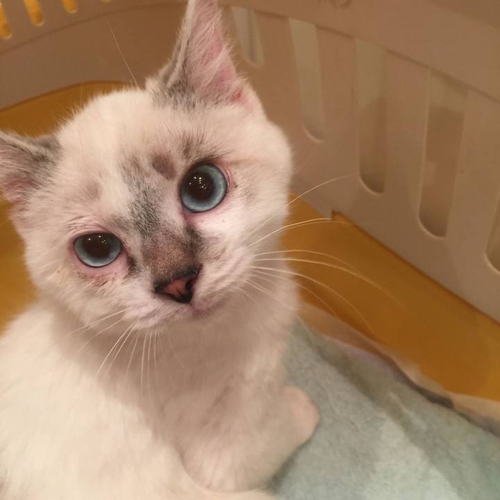 D2713170 bbdc 4c5f 8e35 3e63d510de6f