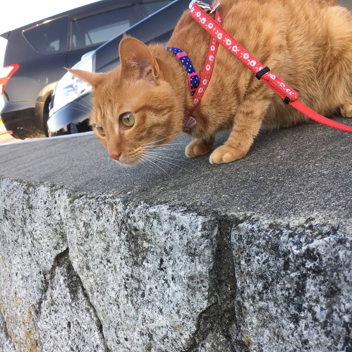 D271687d 9ee8 4092 b32b 95cebe9188db