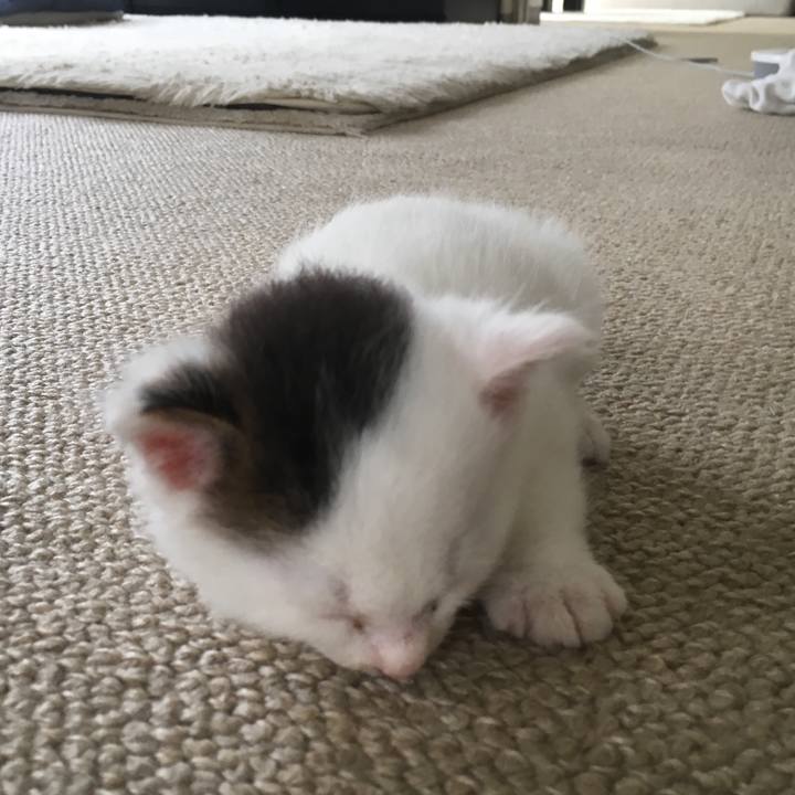 D271d740 7998 4b0a 9986 f3b1d5372d4b